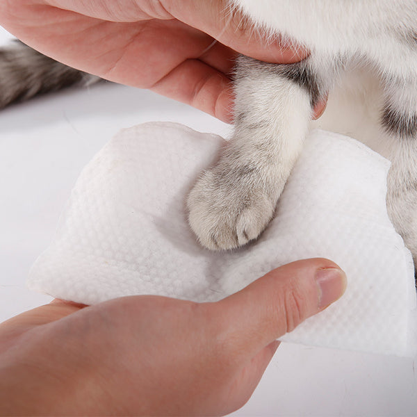 Sterilize ear wipes for dogs and cats to remove tears