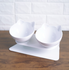 Food Cat Ear Oblique Mouth Transparent Single Pet Bowl