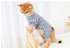 files/baac80ef-29d4-4c25-b08a-901853102ae4.png